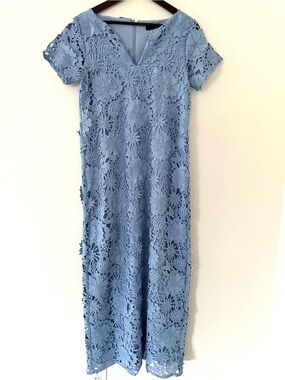 Abbey Glass Cornflower blue 3D lace dress